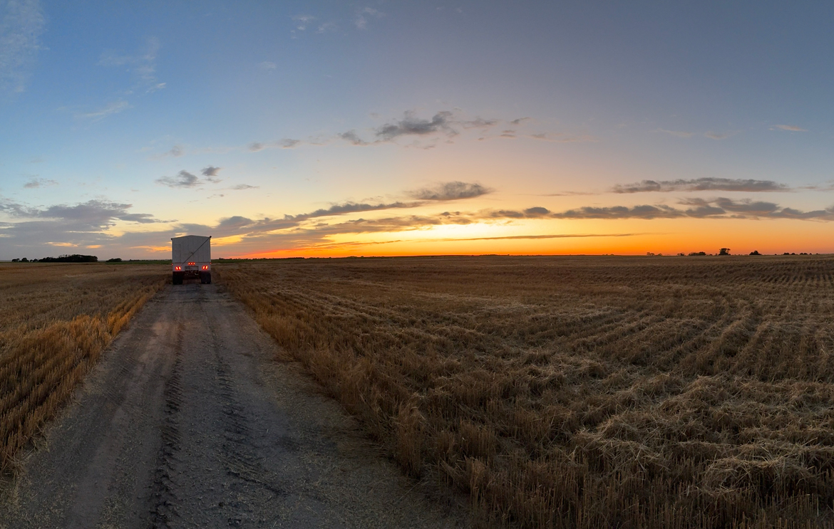 Harvest Field a sunset
